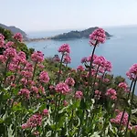 La Casetta Nella Citta Dei Due Mari Lägenhet Sestri Levante