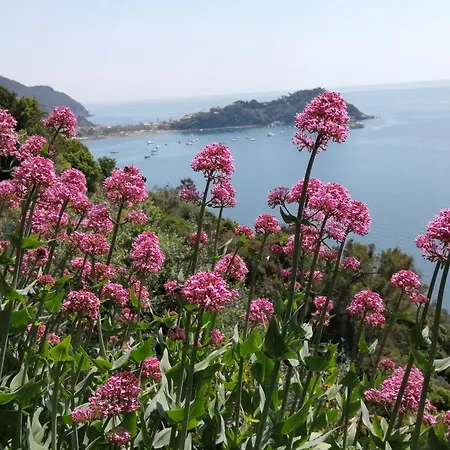 La Casetta Nella Citta Dei Due Mari Apartment Sestri Levante