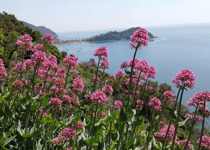 La Casetta Nella Citta Dei Due Mari 아파트 세스트리레반떼